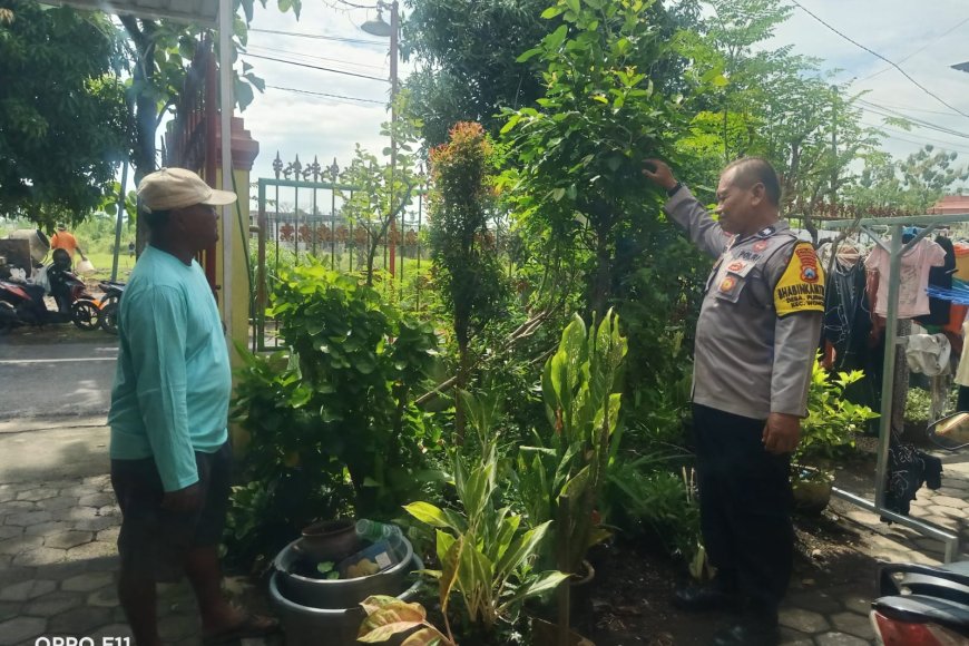 Produktif di Akhir Pekan, Bhabinkamtibmas Polsek Wonoasri Tinjau "Lahan Hidup" Milik Masyarakat Purwosari