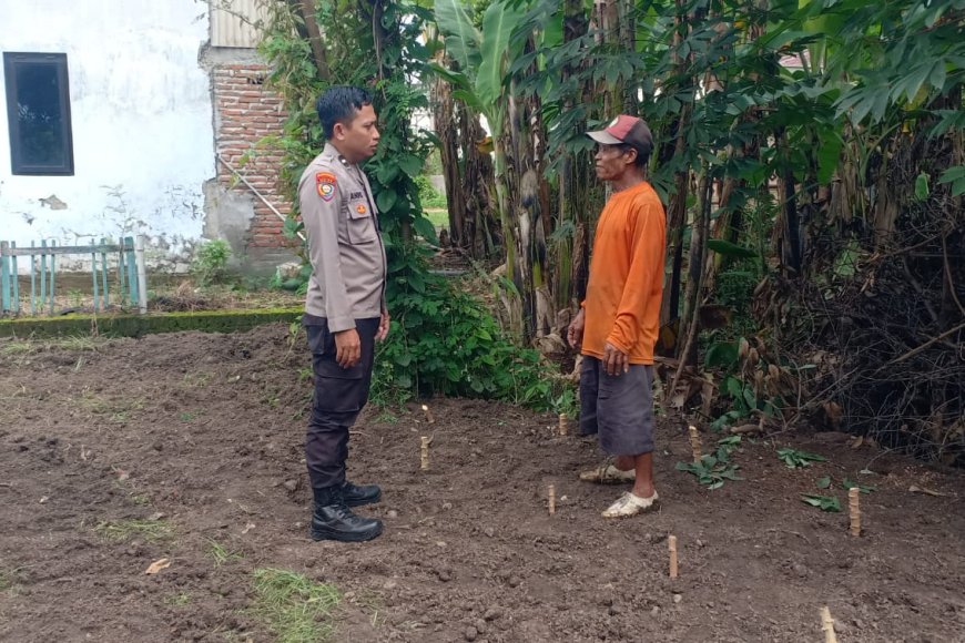 Dukung Swasembada Pangan, Bhabinkamtibmas Polsek Balerejo Apresiasi Budidaya Ketela di Pekarangan Rumah